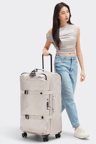Valise grand volume Spontaneous (L) - Argenté - 78 cm