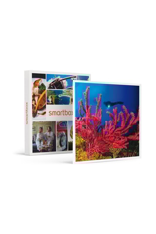 Coffret Baptême de plongée passionnant de 3h en duo au large de Fréjus