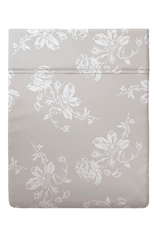 Drap plat en satin de coton 80 fils/cm² Roses - Taupe