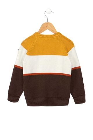 Pull - Marron et blanc - Terre de Marins