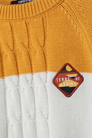 Pull - Marron et blanc - Terre de Marins