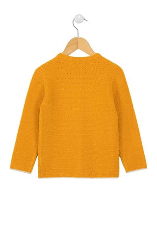 Cardigan - Jaune - Terre de Marins