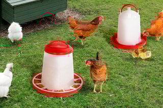 Mangeoire et abreuvoir à poules - 3 l et 3 kg