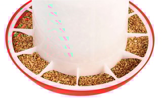 Mangeoire et abreuvoir à poules - 3 l et 3 kg