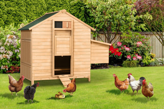 Poulailler grande capacité en bois  - 1,25 m²