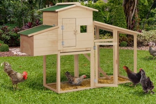 Poulailler en bois avec pondoir intégré Gelina - 2 à 3 poules