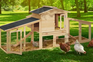 Poulailler clapier XXL avec pondoir - 6 poules
