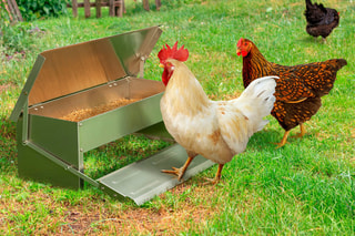 Mangeoire à pédale pour poules