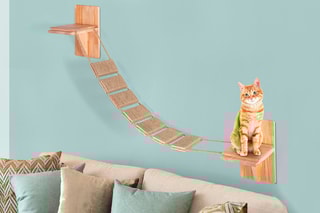 Escalier mural pour chat