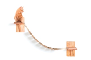 Escalier mural pour chat