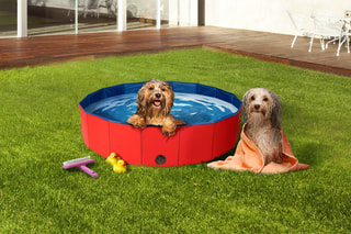 Piscine pour chien - 80 cm