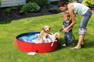 Piscine pour chien - 80 cm