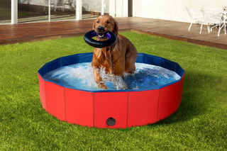 Piscine pour chien - 120 cm
