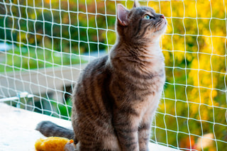 Filet de sécurité pour balcon pour chat