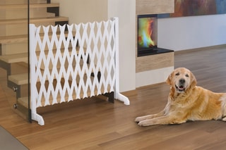 Barrière extensible - Blanc