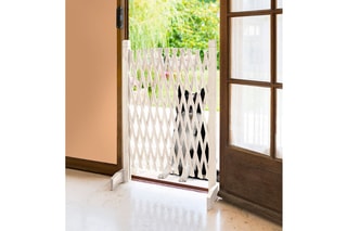 Barrière extensible - Blanc