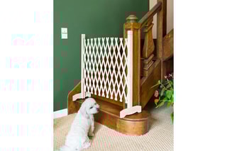 Barrière extensible - Blanc