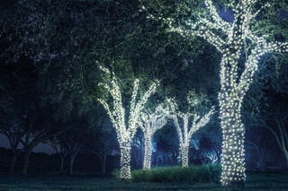 Guirlande solaire extérieure 1000 LED - Blanc froid