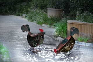 2 poules solaires LED - Blanc