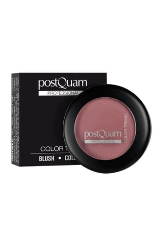 Blush longue tenue - Vieux rose - 10 g