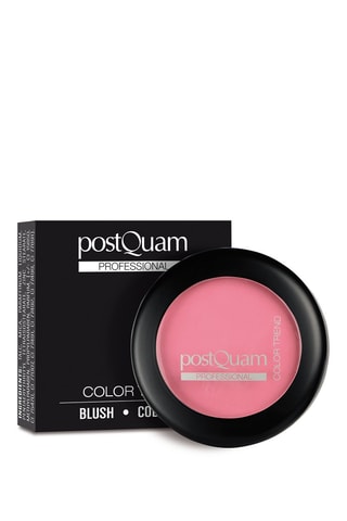 Blush longue tenue - Rose - 10 g