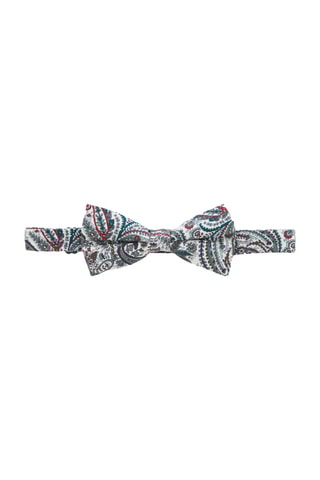 Noeud papillon  - Multicolore