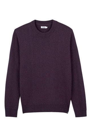 Pull en coton biologique - Violet