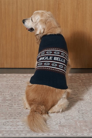 Pull pour chien - Bleu foncé