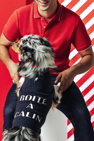 Pull pour chien - Bleu nuit