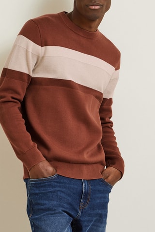 Pull en coton biologique - Camel