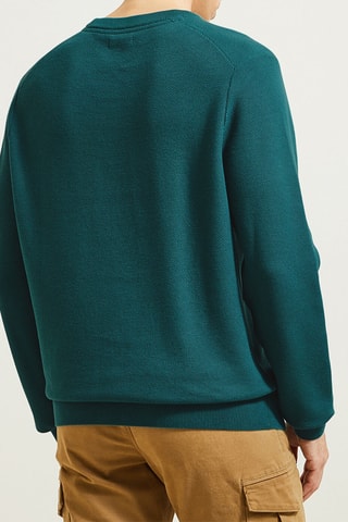 Pull - Vert