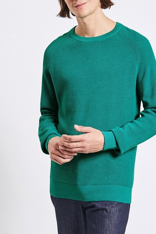 Pull - Vert