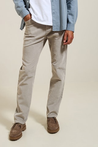 Pantalon regular en velours - Gris