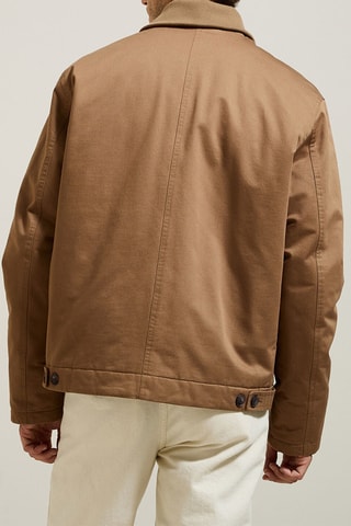 Veste - Camel