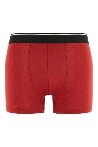 Boxer en coton biologique - Bordeaux