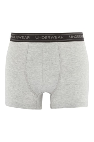 Boxer - Gris