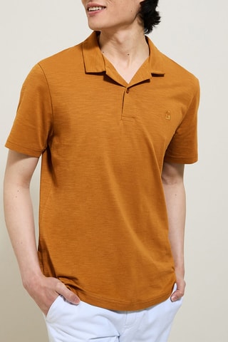 Polo regular en coton biologique - Marron