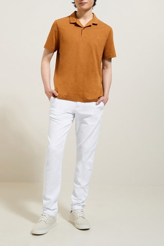 Polo regular en coton biologique - Marron
