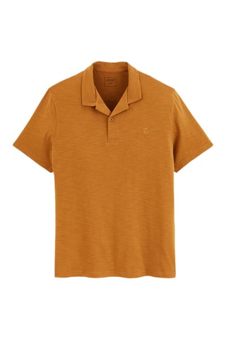 Polo regular en coton biologique - Marron