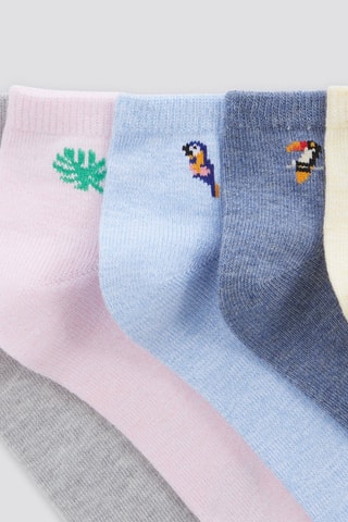5 paires de chaussettes en coton biologique - Multicolore