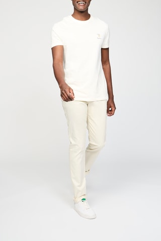 Chino Beige