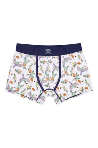 Boxer - Blanc