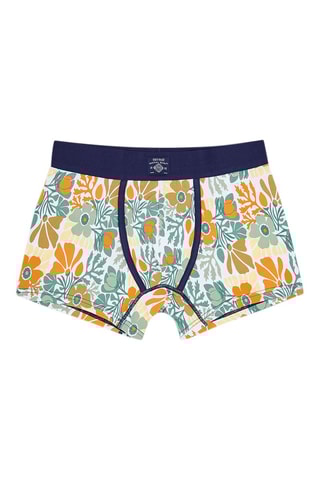 Boxer - Multicolore