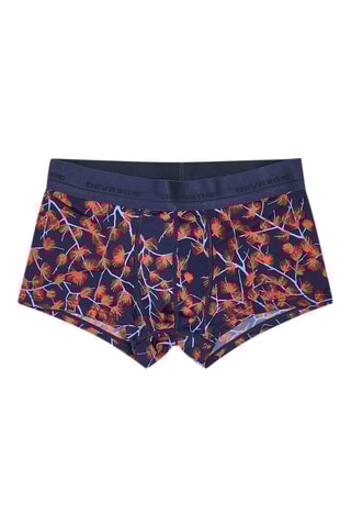 Boxer - Bleu