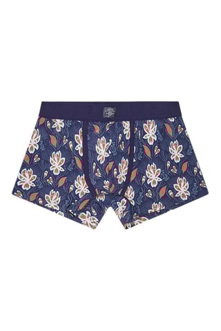 Boxer - Bleu