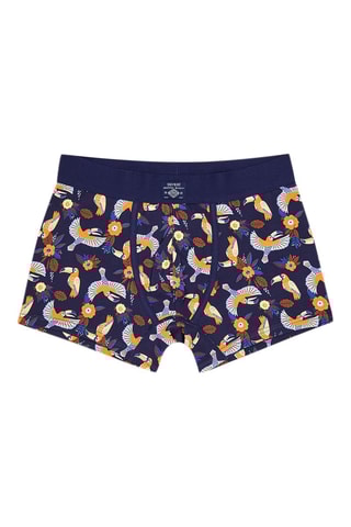 Boxer - Bleu