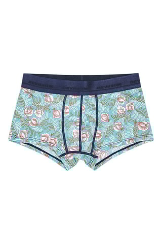 Boxer - Turquoise