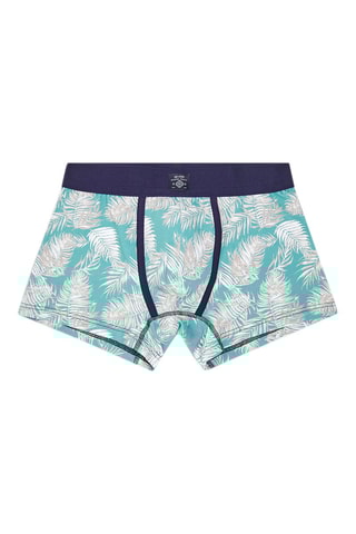 Boxer - Turquoise
