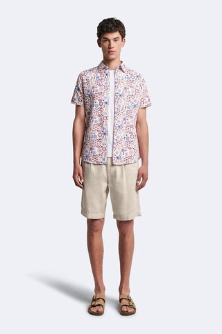 Chemise slim - Multicolore