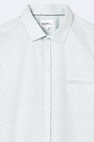 Chemise - Vert tilleul